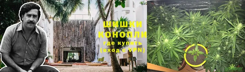 Каннабис THC 21%  что такое наркотик  Бодайбо 